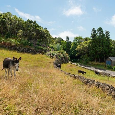 Willa Casa Da Figueirinha Calheta de Nesquim Zewnętrze zdjęcie